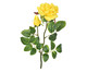Planta Permanente com Haste Rosa e Botão Amarela, Amarelo | WestwingNow