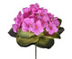 Planta Permanente Violeta Micropeach Lavanda, lilas | WestwingNow
