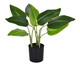 Planta Permanente com Vaso Strelitzia - Verde, Verde | WestwingNow