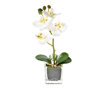 Planta Permanente com Vaso Arranjo Orquídea - Branca