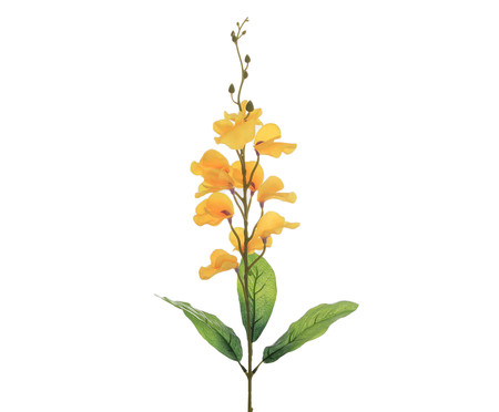 Planta Permanente Glicínia - Amarela