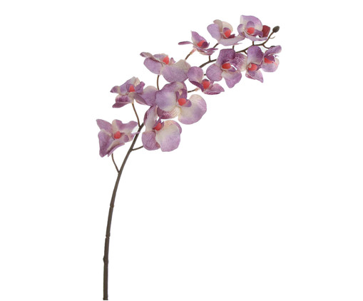 Planta Permanente Orquídea Diamante - Lavanda, lilas | WestwingNow