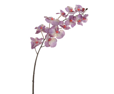 Planta Permanente Orquídea Diamante - Lavanda