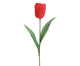 Planta Permanente Tulipa Top -Vermelha, Vermelho | WestwingNow