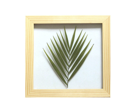 Quadro Palmeira Pinus - Hometeka