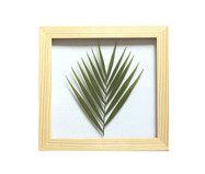 Quadro Palmeira Pinus - Hometeka | WestwingNow