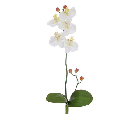 Planta Permanente Orquídea Cetim - Creme