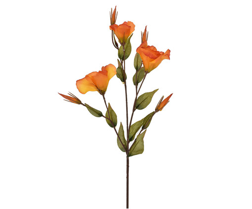 Planta Permanente Baby Flower Luxo-  Laranja, Laranja | WestwingNow
