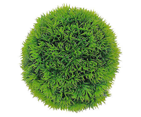 Planta Permanente Arbusto Pine - Verde