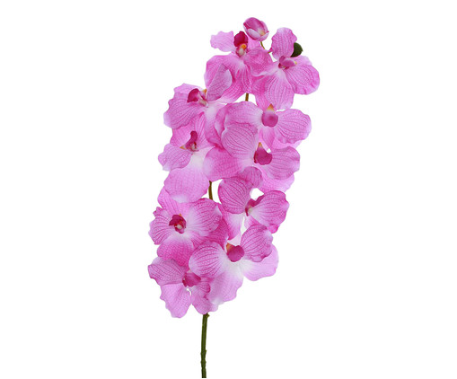 Planta Permanente Orquídea Spray Lavanda, lilas | WestwingNow