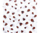 Jogo de Papel Manteiga Estampado Ladybug, Colorido | WestwingNow