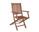 Cadeira Dobrável Ipanema com Braços - Nogueira, Marrom | WestwingNow