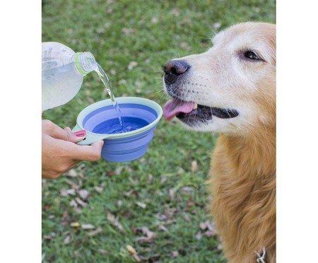 Bowl Retrátil Pet Azul | WestwingNow