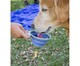 Bowl Retrátil Pet Azul, Azul | WestwingNow