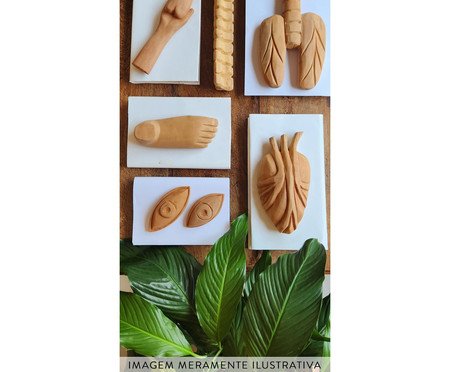 Ex-Voto Olho Natural | Westwing