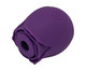 Sugador de Clitóris Flower Roxo - 5,5cm, Roxo | WestwingNow