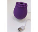 Sugador de Clitóris Flower Roxo - 5,5cm, Roxo | WestwingNow