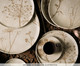 Jogo de Pratos de Sobremesa Bio Stoneware Cyperus, Bege | WestwingNow