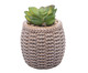 Cachepot Sisal com Suculenta II, marrom | WestwingNow