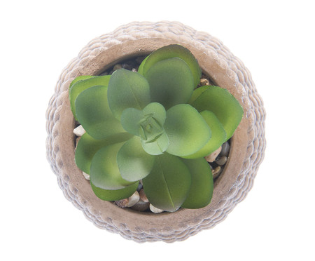 Cachepot Sisal com Suculenta II | WestwingNow