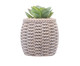 Cachepot Sisal com Suculenta II, marrom | WestwingNow