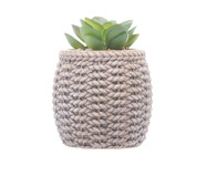 Cachepot Sisal com Suculenta II | WestwingNow