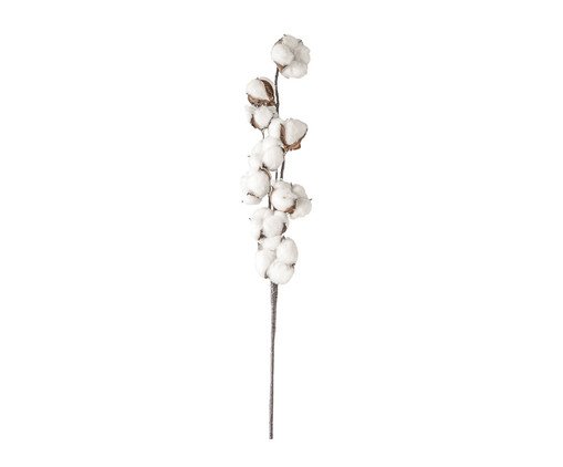 Flor de Algodão Preservada Natural, Natural | WestwingNow