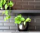 Vaso Nero Preto, black | WestwingNow