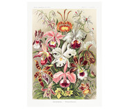 Quebra-Cabeça Museus 216 Peças - Orquídeas Ernst Haeckel | WestwingNow