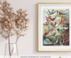 Quebra-Cabeça Museus 216 Peças - Beija-Flor Ernst Haeckel, Colorido | WestwingNow