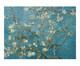 Quebra-Cabeça Museus 216 Peças - Almond Blossom Van Gogh, Colorido | WestwingNow