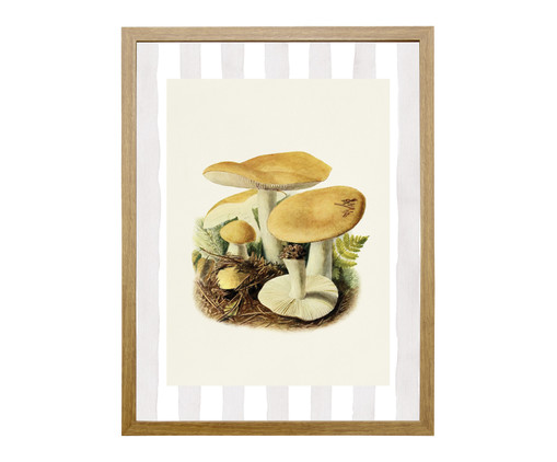 Quadro Clássico Cogumelos Frejó, Bege | WestwingNow