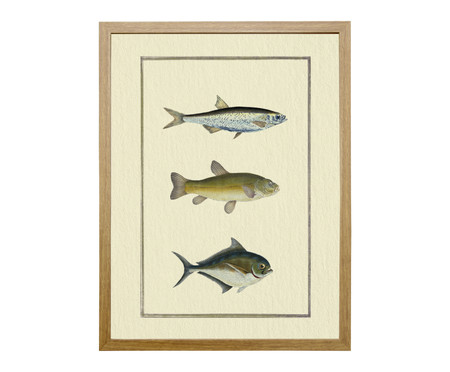 Quadro Clássico Peixes III Frejó