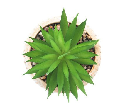 Cachepot de Cerâmica com Suculenta Rattan | Westwing