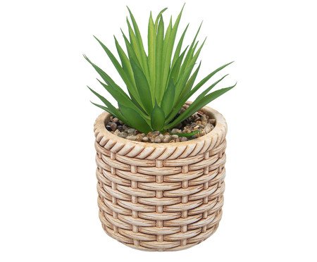 Cachepot de Cerâmica com Suculenta Rattan | Westwing