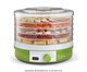 Desidratador de Alimentos B-Dry Ariete, Verde | WestwingNow