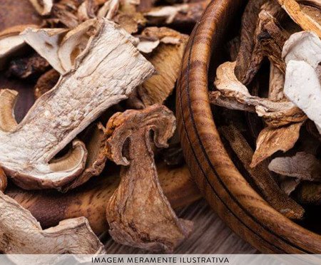 Desidratador de Alimentos B-Dry Ariete | Westwing