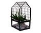 Terrário Grid Pequeno em Madeira - Preto, black | WestwingNow