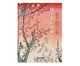 Livro 