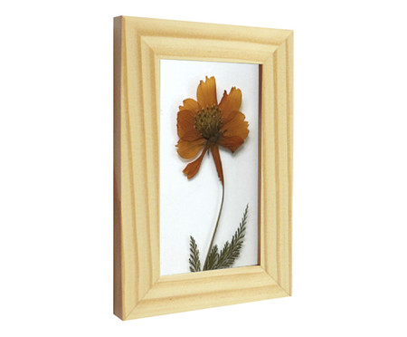 Quadro Cosmos Pinus | Westwing