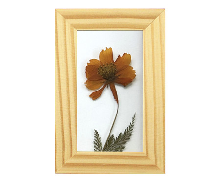 Quadro Cosmos Pinus | WestwingNow