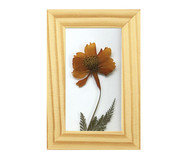 Quadro Cosmos Pinus | WestwingNow