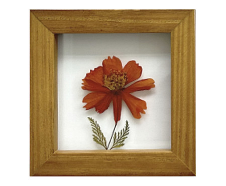 Quadro Cosmos Laranja | Westwing