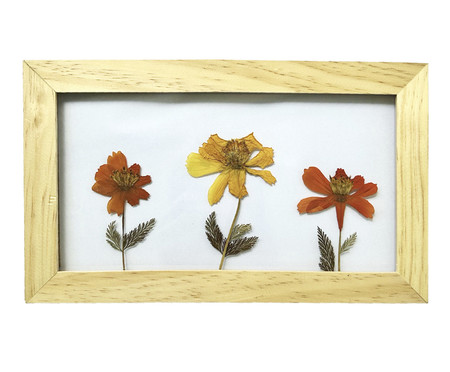 Quadro Cosmos Pinus | Westwing