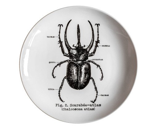 Prato em Porcelana Besouro Branco - 24cm, Branco | WestwingNow