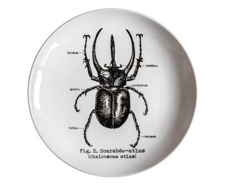 Prato em Porcelana Besouro Branco - 24cm | Westwing