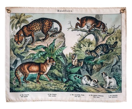 Bandeira Predadores | Westwing