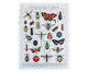 Bandeira Encyclopedia Of Insects, Colorido | WestwingNow