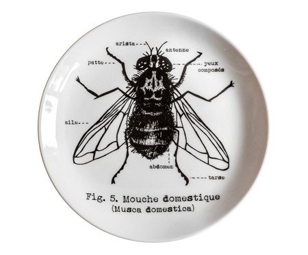 Prato Mosca em Porcelana Branco - 20cm | Westwing
