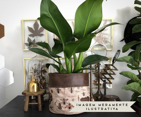 Cachepot Abelha Cru | Westwing